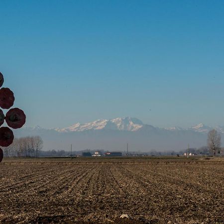 Appartamenti Matteotti 54 Biandrate Esterno foto