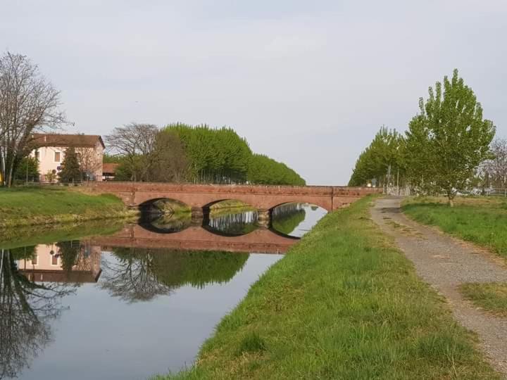 Appartamenti Matteotti 54 Biandrate Esterno foto